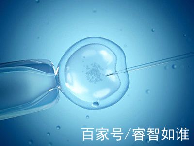 代生包男宝